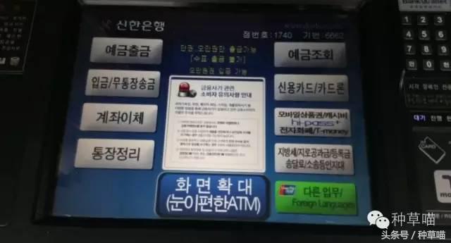 老司机带路买车不迷茫,老司机带路游广州