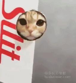 爱情搞笑动态图片,爱情搞笑动态图