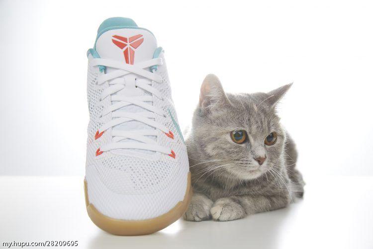 涓庣尗鍏辫垶,涓庣尗鍏辫垶绯诲垪