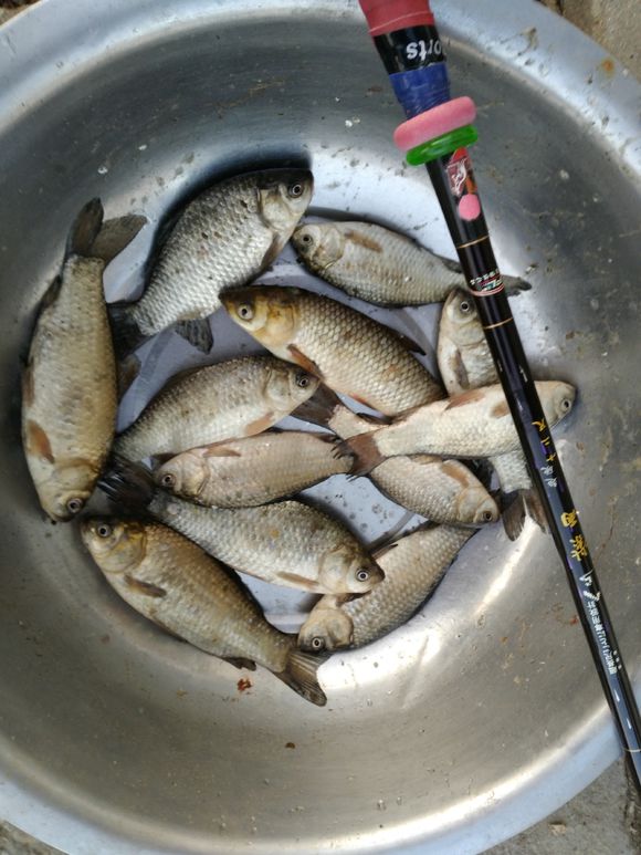 为了钓鱼跑了二十多公里算远吗,为钓鱼做过的事