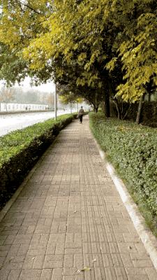 xperiaxz,绱㈠凹xperiaxz璇︾粏璇勬祴