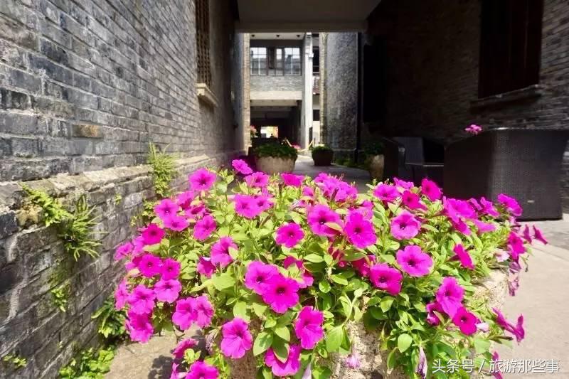 穿越到将军府,穿越来到将军府