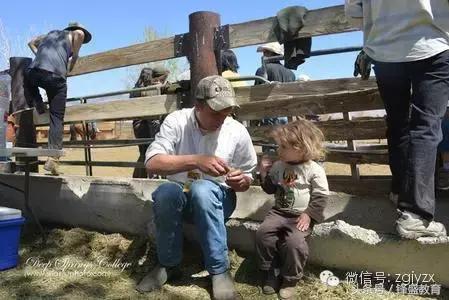 比哈佛还难进的大学——深泉学院（家长们都来学习一下吧）