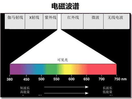 高能分析：包子带你了解澳洲护眼保健品