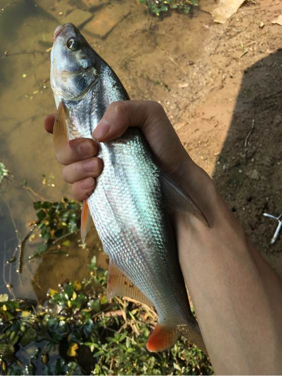 为什么野钓更舒服,为什么野钓要钓底