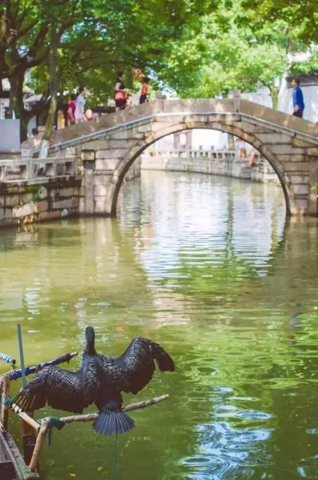 心宿旅舍,民宿推荐来一场说走就走的旅行