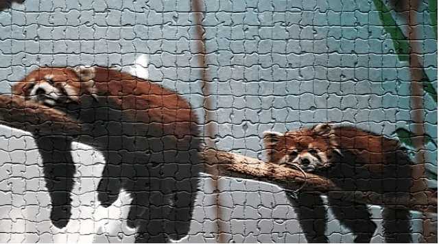 保险公司兜底措施,保险公司会一直兜底吗