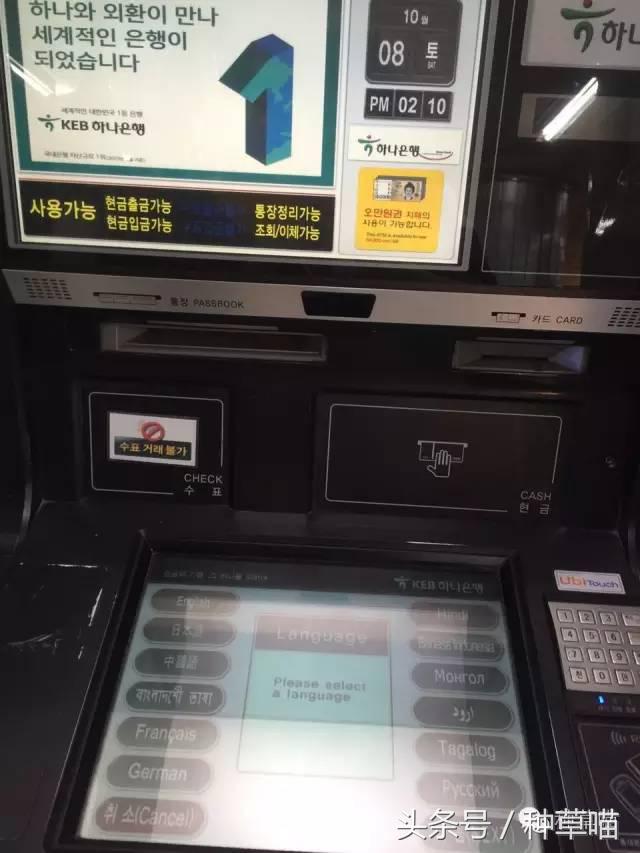 老司机带路买车不迷茫,老司机带路游广州