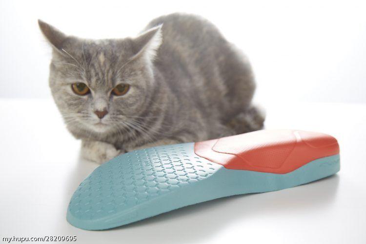 涓庣尗鍏辫垶,涓庣尗鍏辫垶绯诲垪