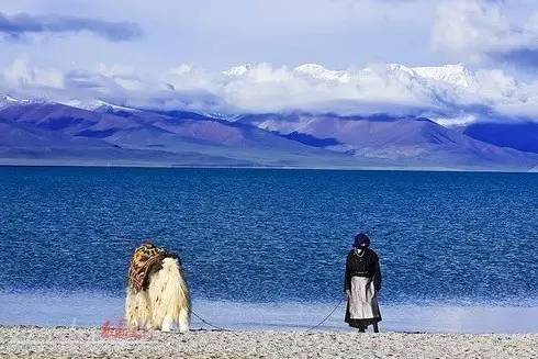 比起诗和远方我更喜欢有你的地方,这辈子总要去一趟丽水