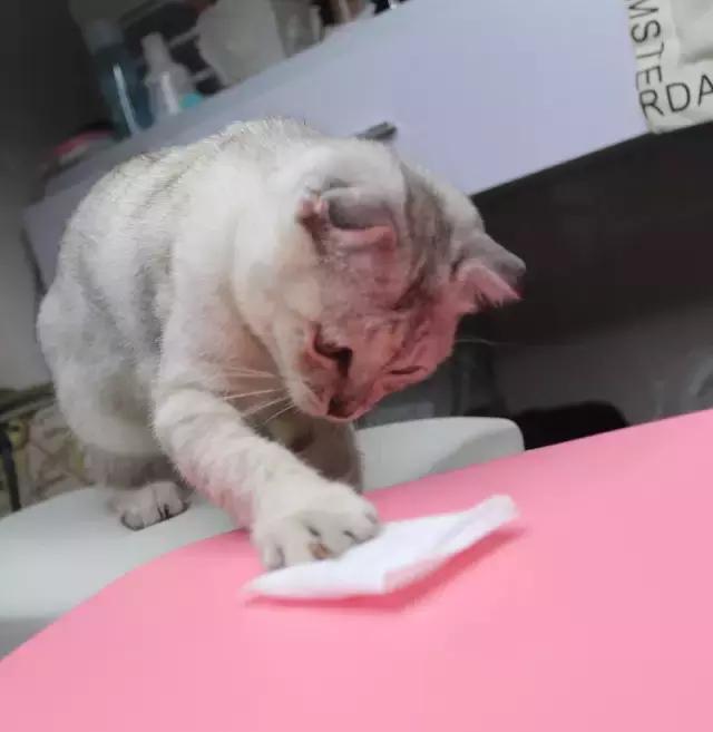 尤妮佳化妆棉哪款最好用,尤妮佳棉柔巾测评