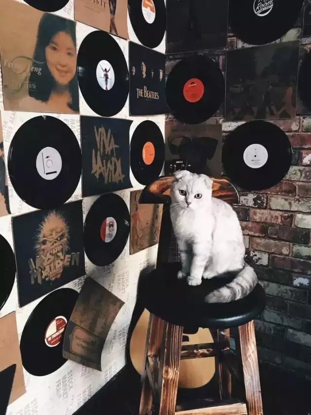 青旅乐趣,旅行路上的青旅