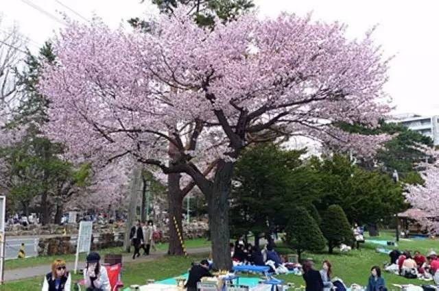 宁波飞韩国济州岛机票仅需9元,机票上海飞济州岛