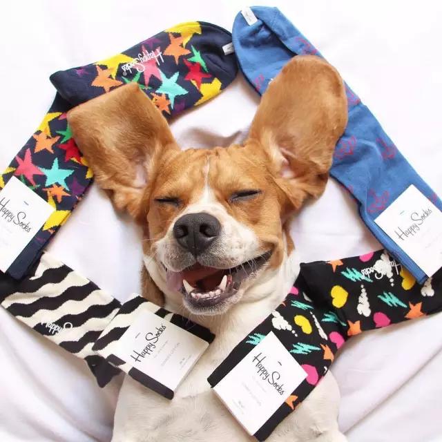 袜子要怎么搭配衣服,袜子正确搭配鞋子穿法