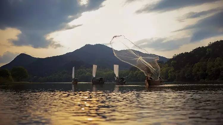 比起诗和远方我更喜欢有你的地方,这辈子总要去一趟丽水