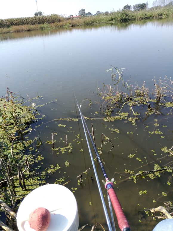 为了钓鱼跑了二十多公里算远吗,为钓鱼做过的事