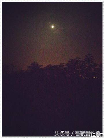 大将师来干家塘有鲤有鲫好鱼情