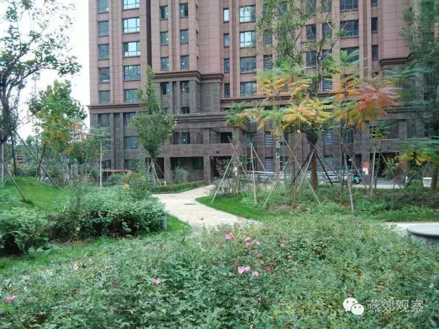 木子跑盘第三期：首尔甜城（上）