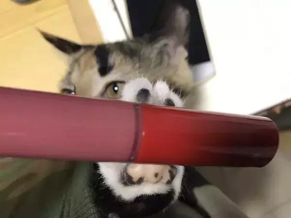 平价护肤品和奢侈护肤品对比,平价护肤品和高端护肤品