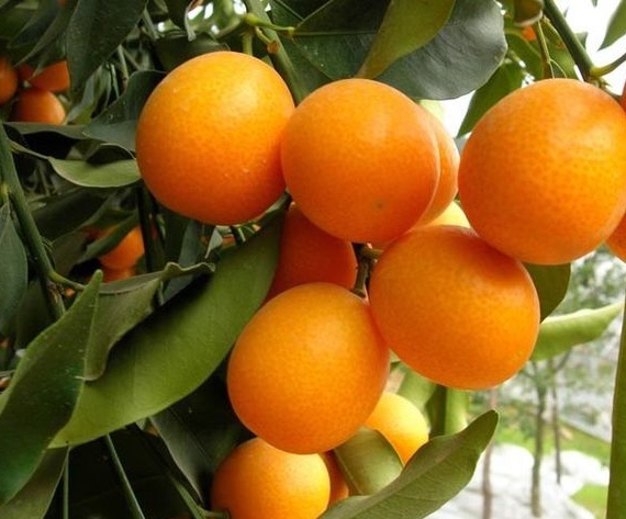 眼部护眼最好的方法,护眼最强眼部保养产品