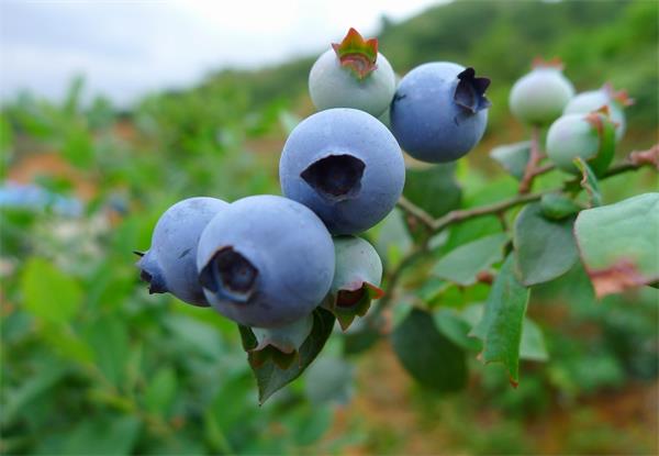 眼部护眼最好的方法,护眼最强眼部保养产品