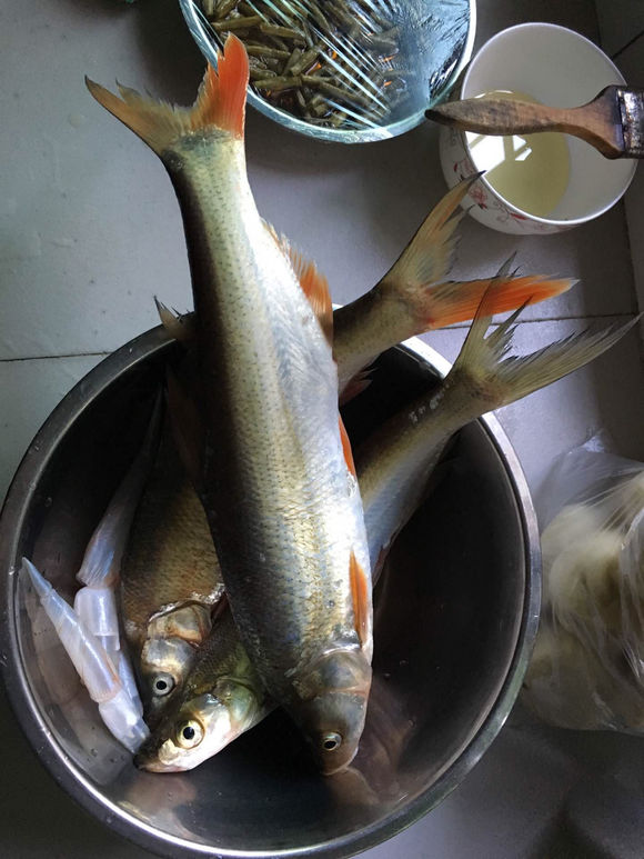 为什么野钓更舒服,为什么野钓要钓底