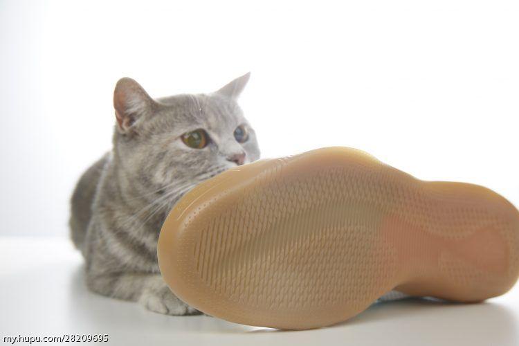 涓庣尗鍏辫垶,涓庣尗鍏辫垶绯诲垪