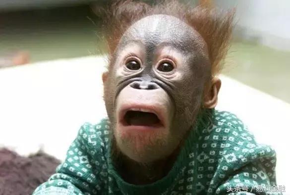 分期付款都有哪些陷阱,分期付款的背后隐藏着什么秘密