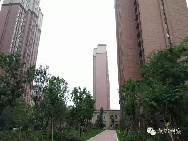 木子跑盘第三期：首尔甜城（上）