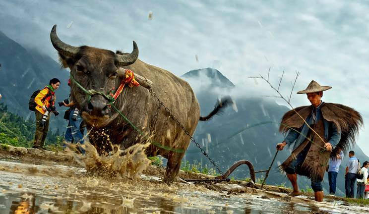 比起诗和远方我更喜欢有你的地方,这辈子总要去一趟丽水