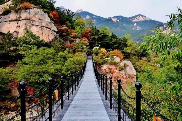 宁波飞韩国济州岛机票仅需9元,机票上海飞济州岛