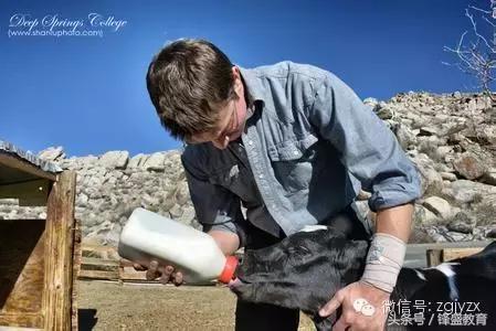 比哈佛还难进的大学——深泉学院（家长们都来学习一下吧）