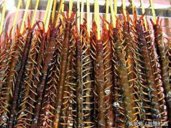 越南恶心的虫子大餐,广东人常吃的虫子