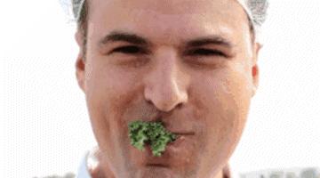 我敢说你在寿司店吃的那缸wasabi是冒牌货