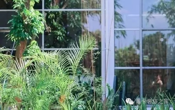 不要爱马仕不要LV,90后情侣花6万块造了个300㎡的大房子