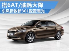 标致301仪表盘油耗怎么调回来,16年标致301自动挡怎么看是不是6at