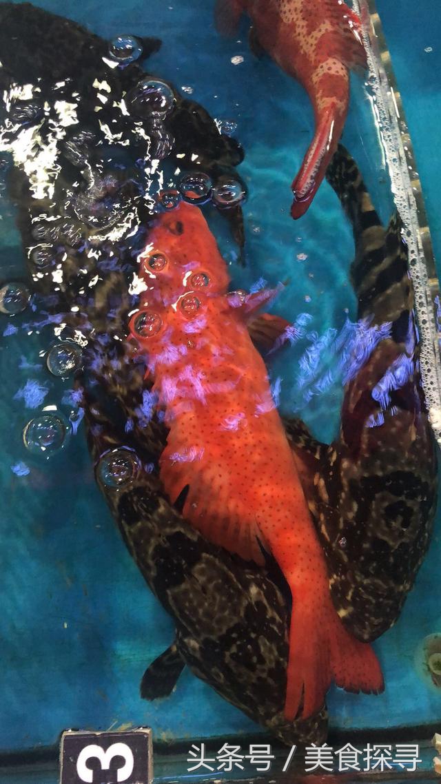 海口一座充满回忆的城市,海口的城市记忆