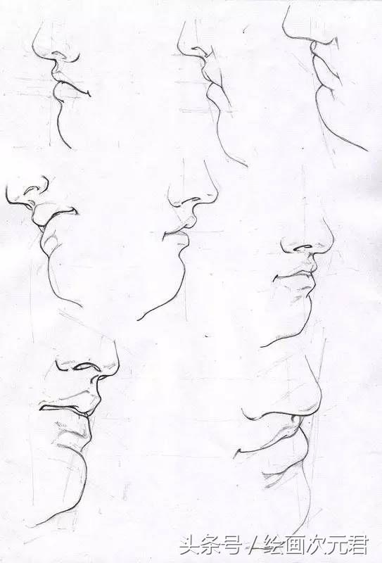 人体结构动态,动态素描·人体结构