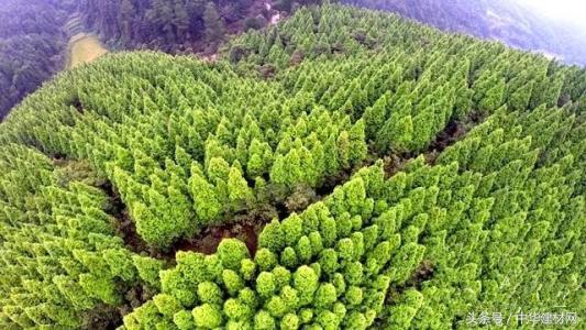 巨宁地板出现质量问题咋办,巨宁地板优合木环保等级