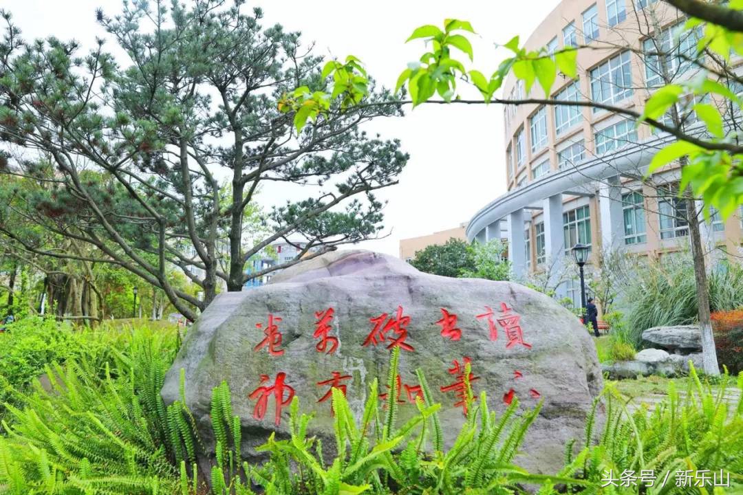 四川乐山最美的春天,乐山的春天有多美