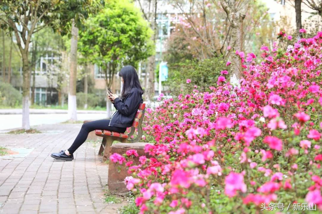 四川乐山最美的春天,乐山的春天有多美