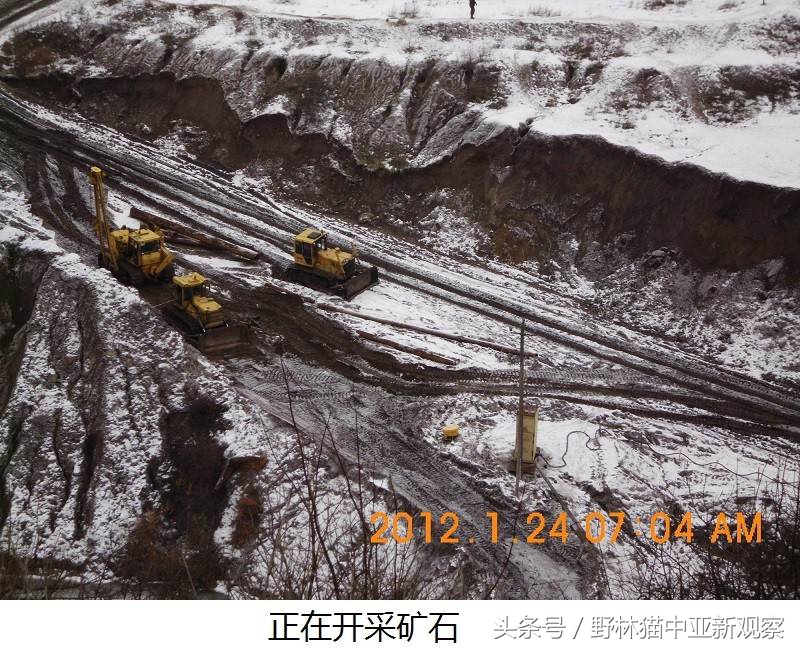 野林猫之-俄罗斯琥珀之都探秘