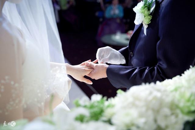 小说：沐曦反手掏出天灵果，打脸女主