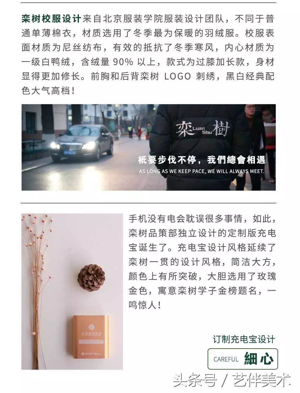 栾树画室地址在哪里,栾树画室学费