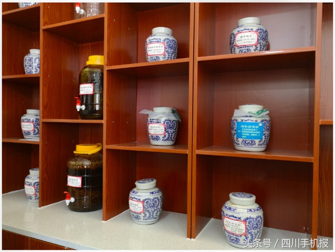 川派中医传承,川派中医养生文化