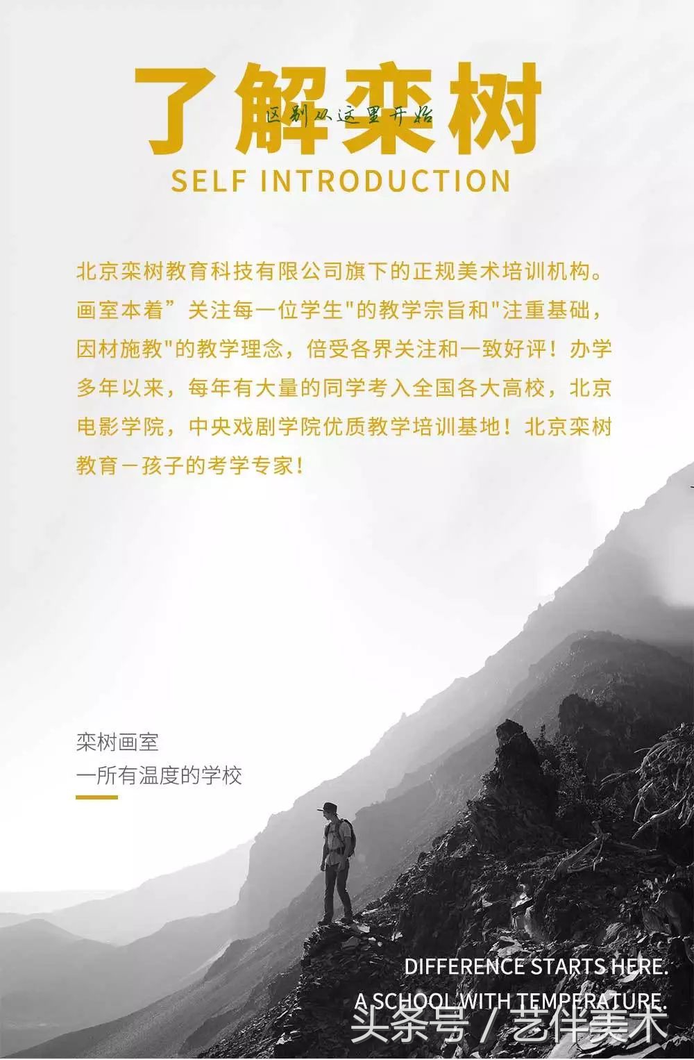 栾树画室价格一览表,栾树画室北京