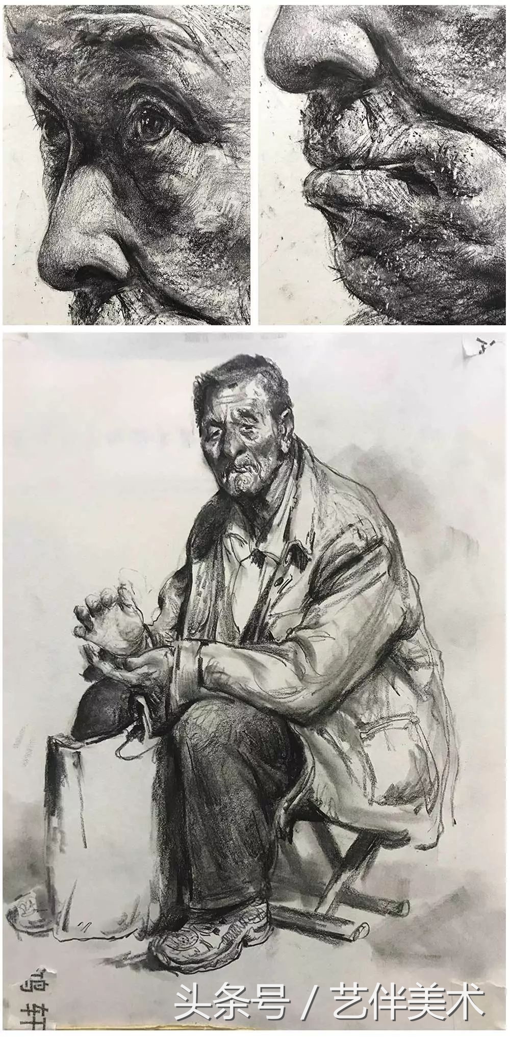 栾树画室口碑怎样,栾树画室地址在哪里