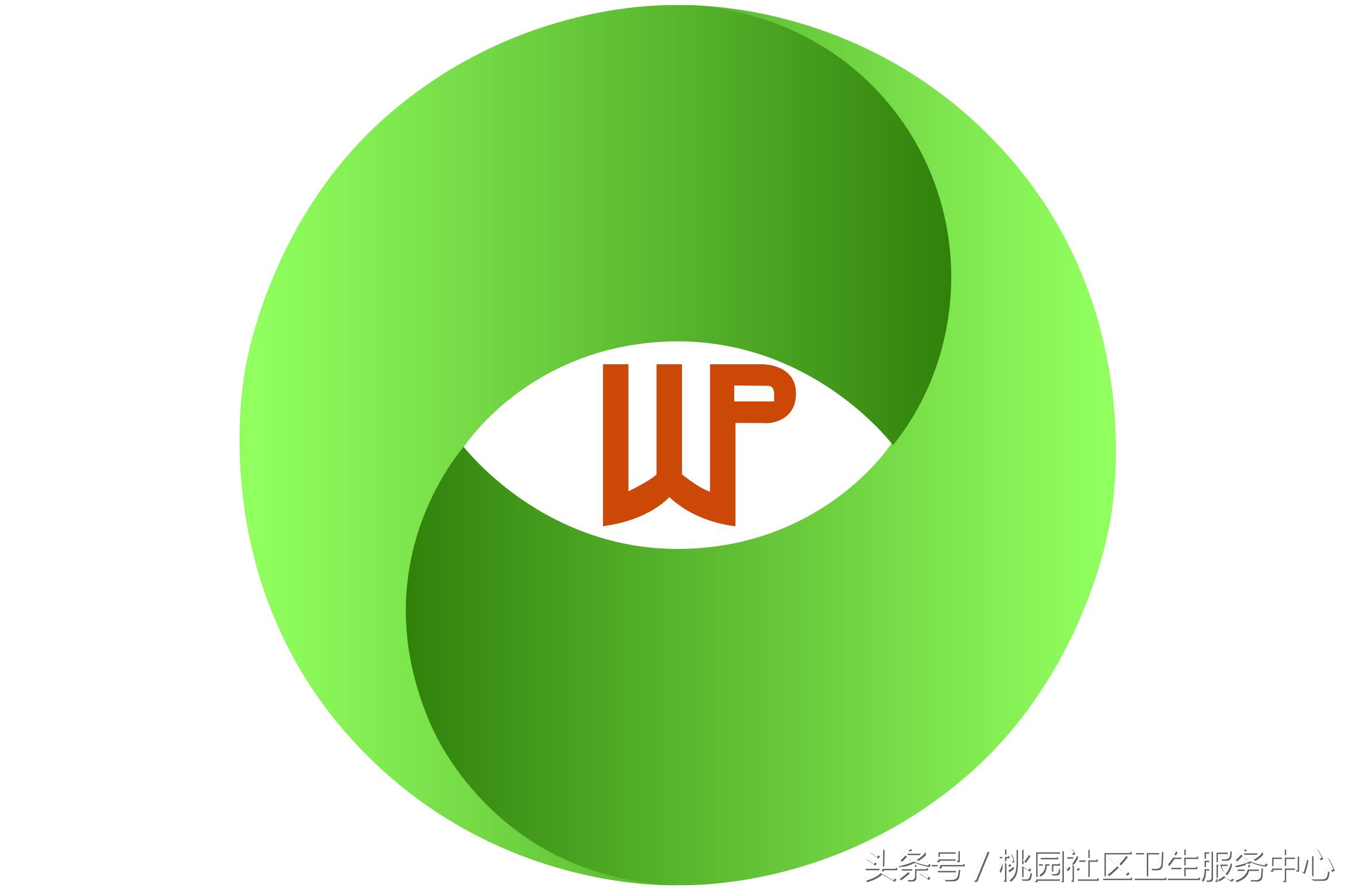 听诊器小朋友听心跳,听诊器听心室儿童