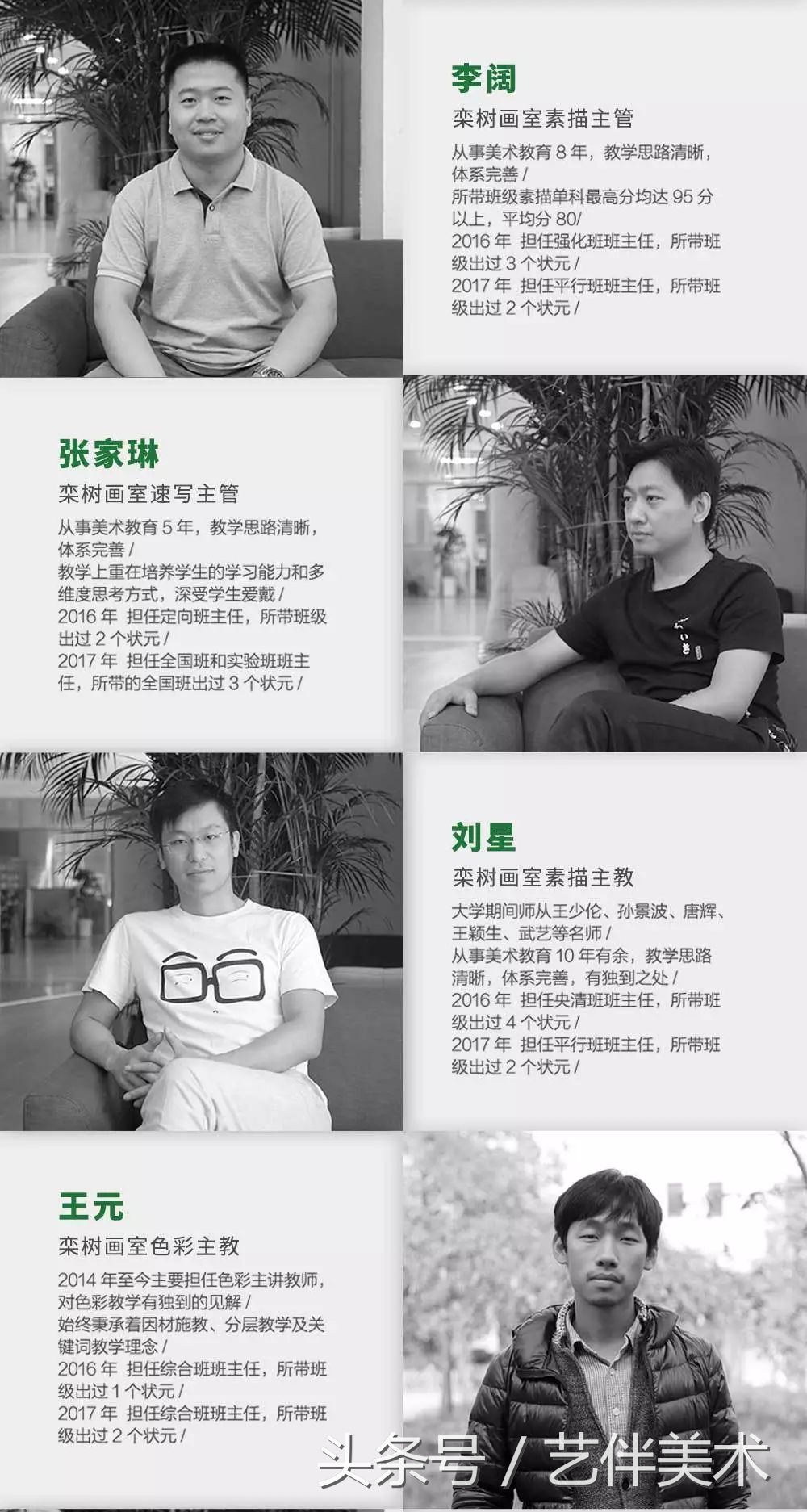 栾树画室北京,栾树画室有集训吗