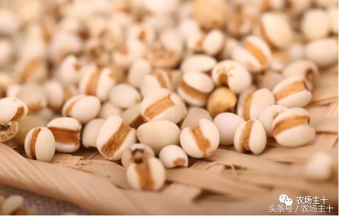 农产品众筹方案,为什么众筹没了